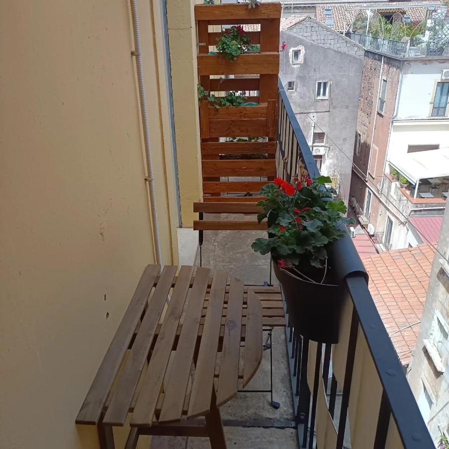 B&B Filo 15 Catania Bagian luar foto